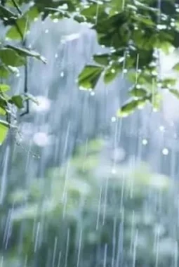 Prakiraan Cuaca Hari Ini Minggu 1 Maret 2026, Hujan Guyur Jabodetabek dan Jawa