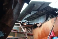 Petugas BPBD DKI Jakarta menangani rumah roboh akibat hujan deras di kawasan Matraman, Jakarta Timur. (Posnews/BPBD DKI Jakarta)