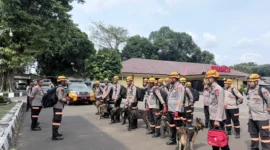 Tim Den K9 SAR Polri melakukan pencarian korban longsor di Desa Pasirlangu, Kabupaten Bandung Barat, Jawa Barat. (Posnews/Ist)