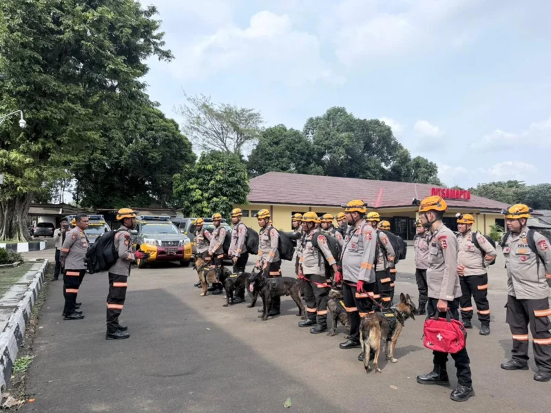 Tim Den K9 SAR Polri melakukan pencarian korban longsor di Desa Pasirlangu, Kabupaten Bandung Barat, Jawa Barat. (Posnews/Ist)