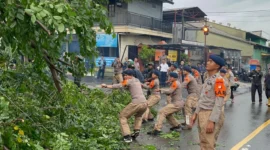 Personel Brimob Polda Metro Jaya mengevakuasi pohon tumbang di Jalan RE Martadinata Ciputat saat hujan dan badai petir. (Posnews/Ist)