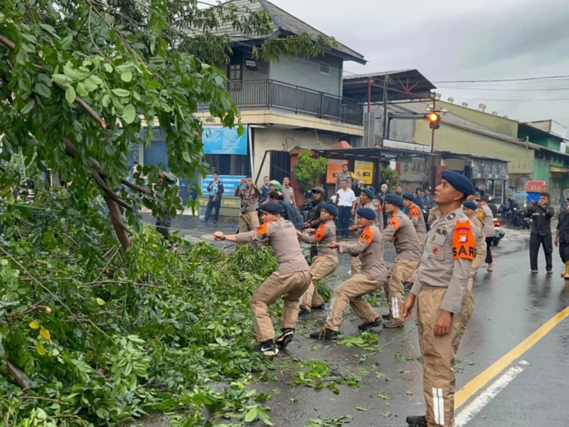 Personel Brimob Polda Metro Jaya mengevakuasi pohon tumbang di Jalan RE Martadinata Ciputat saat hujan dan badai petir. (Posnews/Ist)