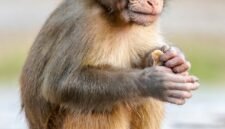 Ilustrasi, Benturan dua kutub realitas. Herakleitos memandang dunia sebagai aliran yang tak pernah berhenti, sementara Parmenides menegaskan bahwa perubahan hanyalah ilusi pancaindra yang menipu. Dok: Istimewa.