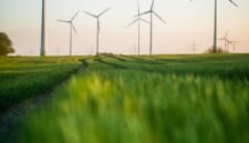 Transformasi raksasa Asia. Tiongkok berupaya menghapus citra sebagai penghasil emisi terbesar dunia melalui investasi masif di sektor tenaga angin, surya, dan kendaraan listrik. Dok: Istimewa.