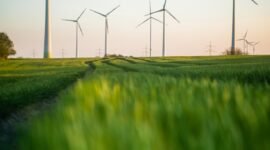 Transformasi raksasa Asia. Tiongkok berupaya menghapus citra sebagai penghasil emisi terbesar dunia melalui investasi masif di sektor tenaga angin, surya, dan kendaraan listrik. Dok: Istimewa.