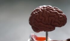 Misteri Menguap Menular: Mengapa Otak Perlu Pendingin dan Kaitan Erat dengan Empati Manusia