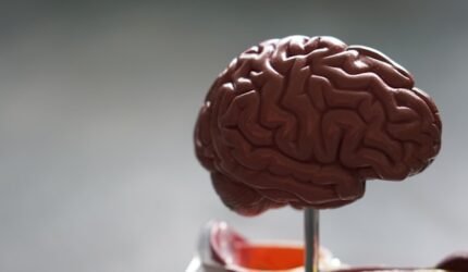 Menguak Rahasia Kognitif di Balik Proses Kreatif Manusia