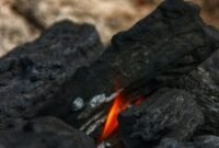 Ilustrasi, Dunia riuh membicarakan energi hijau, namun faktanya batubara masih menjadi raja listrik global. Teknologi penangkapan karbon (CCS) digadang-gadang sebagai penyelamat, tapi benarkah solusi ini realistis atau sekadar angan-angan mahal? Dok: Istimewa.