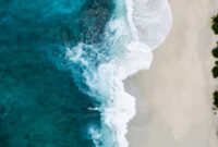 Ilustrasi, Di balik gerakan anggun ikan, tersimpan sistem mekanis kompleks yang melibatkan tuas tulang, jenis otot khusus, dan kemudi sirip presisi. Dok: Istimewa.