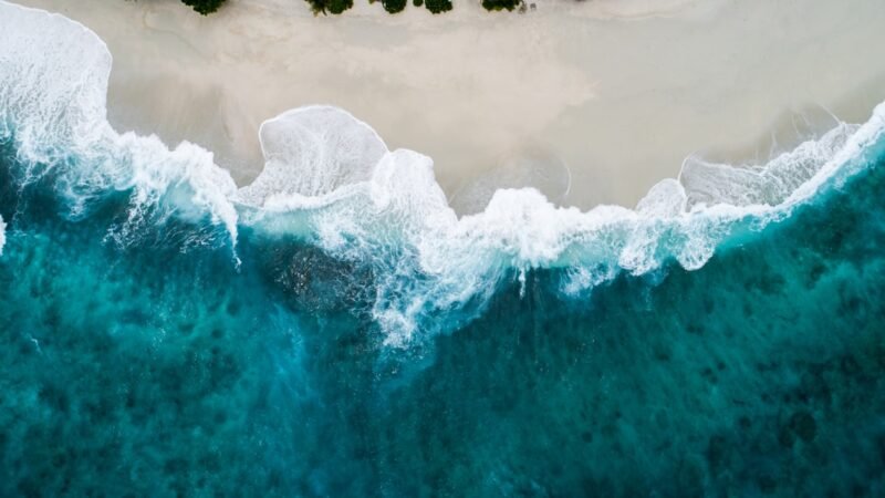 Ilustrasi, Alarm ekologi global. Suhu permukaan laut dunia merangkak naik menuju rekor tertinggi baru saat pola cuaca El Niño mulai terbentuk, memicu kekhawatiran bahwa tahun 2027 akan melampaui rekor tahun terpanas sepanjang sejarah. Dok: Istimewa.