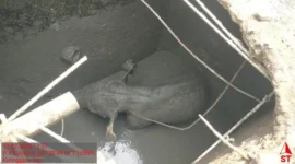 Petugas BKSDA Riau mengevakuasi anak gajah Sumatera yang terjebak septic tank di area mess PT Arara Abadi, Kecamatan Minas, Kabupaten Siak, Minggu (22/2/2026). (Posnews/Ist)
