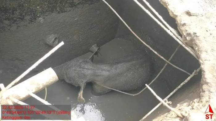 Petugas BKSDA Riau mengevakuasi anak gajah Sumatera yang terjebak septic tank di area mess PT Arara Abadi, Kecamatan Minas, Kabupaten Siak, Minggu (22/2/2026). (Posnews/Ist)