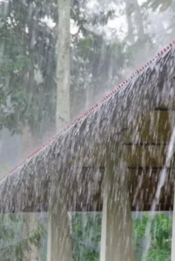 BMKG Ingatkan Cuaca Ekstrem di Kota Besar Hari Ini, Hujan Lebat Mengguyur Seharian