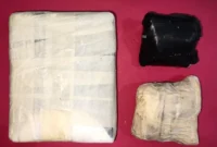 Petugas Direktorat Narkoba Polda Metro Jaya menunjukkan barang bukti 1 kilogram kokain hasil penangkapan kurir jaringan Malaysia di Kebon Jeruk Jakarta Barat, Februari 2026. (Posnews/Ist)