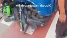 Bus Transjakarta rute 10H terlibat kecelakaan dengan ojek online di simpang Gunung Sahari Jakarta Pusat. (Posnews/Ist)