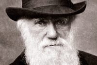 Menjawab teka-teki evolusi. Penemuan fosil embrio di China dan jejak kimia di Oman mengungkap bahwa hewan purba telah mengubah planet ini jauh sebelum 