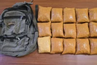 Dittipidnarkoba Tangkap Kurir 15 Kg Heroin di Tanjung Balai–Asahan, Pelaku Terancam Hukuman Mati. (Posnews/Ist)