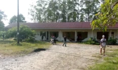 Belasan Gajah Sumatera Amuk Perumahan Karyawan HTI di Siak, 5 Rumah Rusak