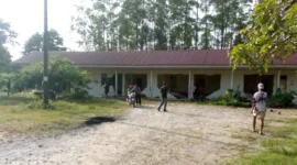 Kawanan gajah Sumatera berada di area perumahan karyawan HTI Rantau Bertuah, Siak, setelah merusak sejumlah rumah dan sepeda motor. (Posnews/Ist)