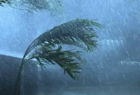 BMKG keluarkan peringatan dini cuaca ekstrem Jabodetabek 11–12 Februari 2026 dengan potensi hujan lebat dan angin kencang. (Posnews/Ist)