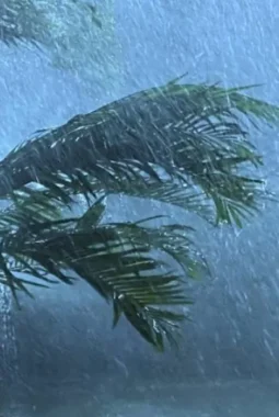 Update Cuaca Jumat 20 Maret 2026, Jabodetabek hingga Indonesia Timur Diguyur Hujan