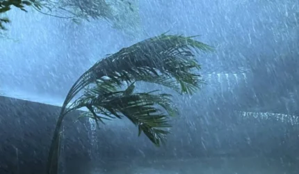 Update Cuaca Jumat 20 Maret 2026, Jabodetabek hingga Indonesia Timur Diguyur Hujan