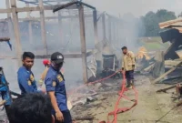 Kandang Ayam Ngemplak Boyolali Terbakar, 10 Ribu DOC Mati Terpanggang. (Posnews/Ist)