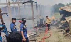 Tragis! Baru 3 Hari Diisi, 10 Ribu Anak Ayam Mati Terpanggang di Boyolali