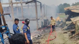 Kandang Ayam Ngemplak Boyolali Terbakar, 10 Ribu DOC Mati Terpanggang. (Posnews/Ist)