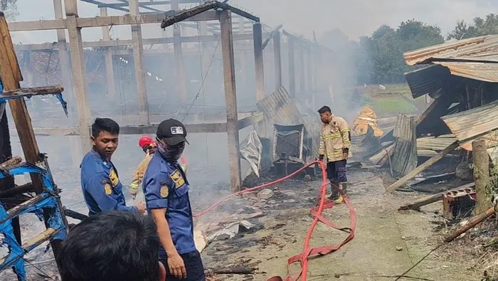 Kandang Ayam Ngemplak Boyolali Terbakar, 10 Ribu DOC Mati Terpanggang. (Posnews/Ist)