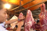 Operasi Pangan Murah DKI Diperluas, Stok Daging Sapi Dipastikan Aman
