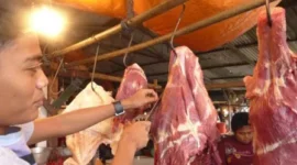 Operasi Pangan Murah DKI Diperluas, Stok Daging Sapi Dipastikan Aman
