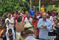 Pandji Pragiwaksono menjalani sidang adat Toraja terkait candaan budaya Rambu Solo. (Posnews/Ist)