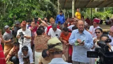 Pandji Pragiwaksono menjalani sidang adat Toraja terkait candaan budaya Rambu Solo. (Posnews/Ist)