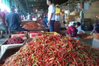 Pasokan dari Sulsel Ditambah 3 Ton per Hari, Harga Cabai Ditargetkan Normal 2 Pekan. (Posnews/Kominfo)