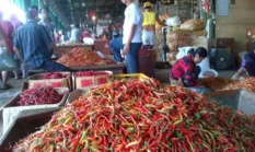 Harga Cabai Rawit Merah Naik ke Rp62.100 per Kg, Ini Daftar Harga Pangan Terbaru