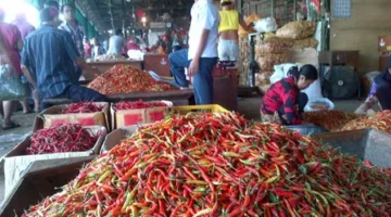 Ilustrasi, pedagang menjual cabai dan kebutuhan pokok di pasar tradisional seiring pembaruan harga pangan nasional pada 6 Juli 2026. (Posnews/Kominfo)