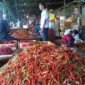 Pasokan dari Sulsel Ditambah 3 Ton per Hari, Harga Cabai Ditargetkan Normal 2 Pekan. (Posnews/Kominfo)