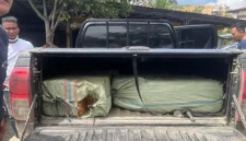 Petugas BNN menunjukkan barang bukti 200 kilogram ganja jaringan Aceh–Medan yang disita saat penangkapan tiga tersangka di Kabupaten Langkat, Sumatera Utara. (Posnews/BNN)