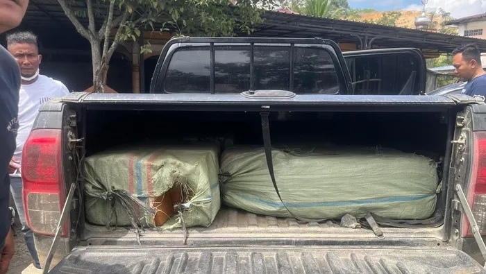 Petugas BNN menunjukkan barang bukti 200 kilogram ganja jaringan Aceh–Medan yang disita saat penangkapan tiga tersangka di Kabupaten Langkat, Sumatera Utara. (Posnews/BNN)