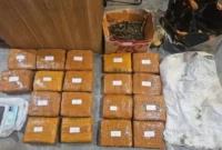 Petugas Ditresnarkoba Polda Metro Jaya menunjukkan barang bukti 18 kilogram ganja hasil penangkapan di Duri Kepa Jakarta Barat Februari 2026. (Posnews/Ist)