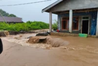 Petugas BPBD mengevakuasi warga terdampak banjir di Lombok Barat dan Bima, Nusa Tenggara Barat, setelah hujan deras mengguyur wilayah tersebut.(Posnews/BNPB)
