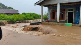 Petugas BPBD mengevakuasi warga terdampak banjir di Lombok Barat dan Bima, Nusa Tenggara Barat, setelah hujan deras mengguyur wilayah tersebut.(Posnews/BNPB)
