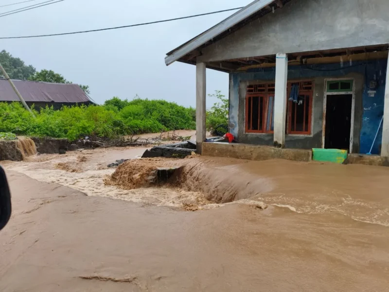 Petugas BPBD mengevakuasi warga terdampak banjir di Lombok Barat dan Bima, Nusa Tenggara Barat, setelah hujan deras mengguyur wilayah tersebut.(Posnews/BNPB)
