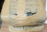 Petugas Satresnarkoba Polres Metro Bekasi Kota menunjukkan barang bukti ganja 2 kilogram hasil penangkapan kurir jaringan antarkota. (Posnews/Ist)