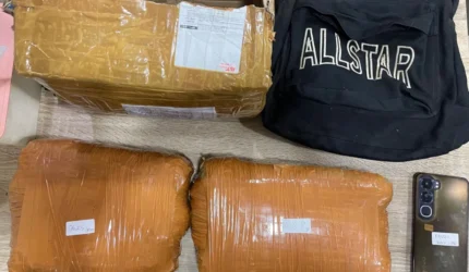 Modus Kirim Paket, Peredaran Ganja di Depok Digagalkan Polisi