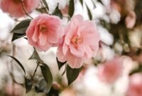 Lebih dari sekadar minuman. Sejarah teh mengungkap perjalanan budaya yang luar biasa, mulai dari kecelakaan tak sengaja di Tiongkok purba hingga memicu jaringan kriminal internasional dan revolusi transportasi laut. Dok: Istimewa.