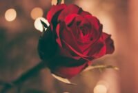 Ilustrasi, Memori melampaui materi. Di tahun 2026, pasangan lebih memilih menciptakan kenangan melalui kelas memasak atau perjalanan singkat dibandingkan sekadar bertukar perhiasan mahal. Dok; Istimewa.