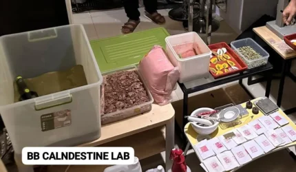 Pabrik Ekstasi dan Happy Water Digerebek di Apartemen Cipinang, Produksi Puluhan Ribu Butir