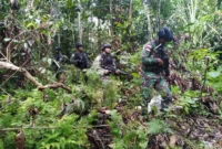 Dok: Pasukan TNI melakukan pengamanan di wilayah Maybrat Papua Barat Daya pasca baku tembak dengan KKB yang menewaskan dua prajurit TNI AL. (Posnews/TNI)
